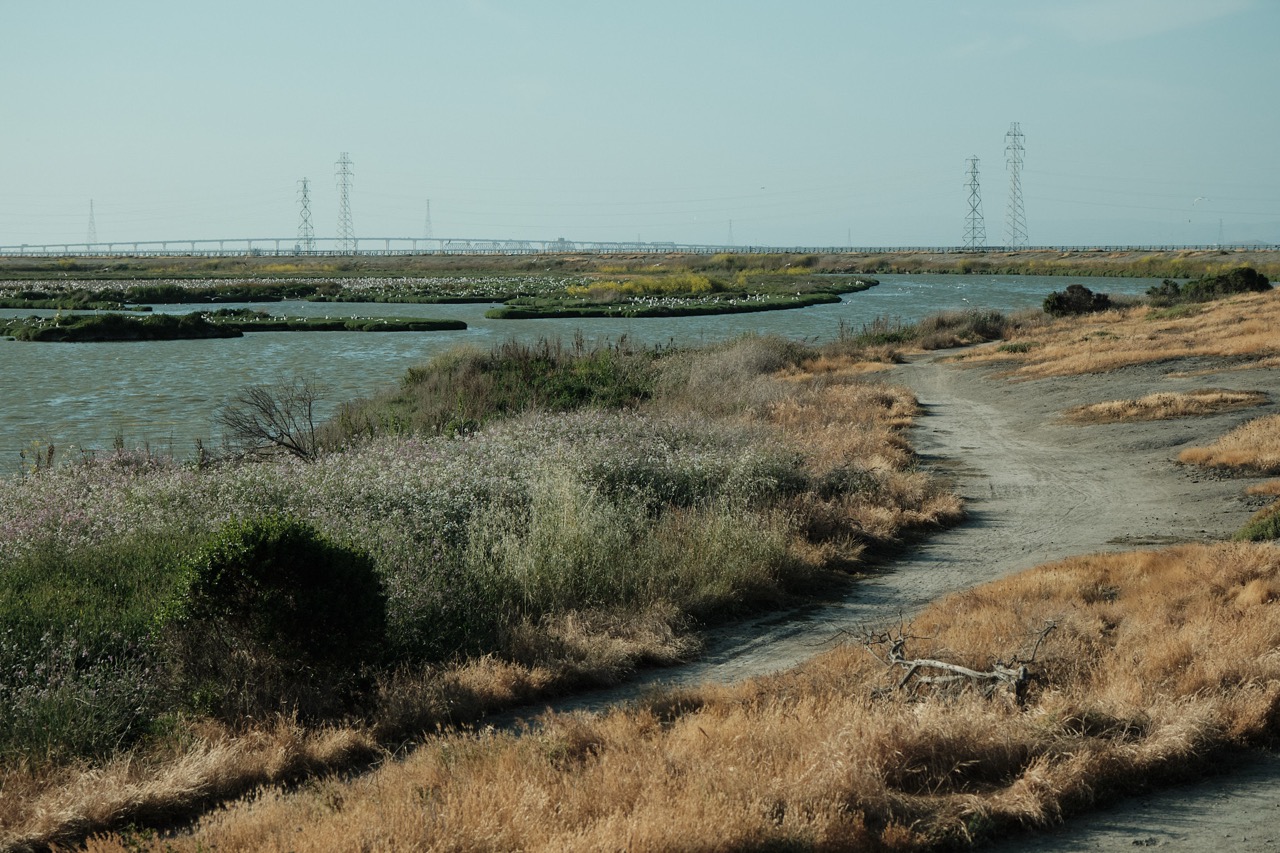 baylands