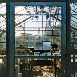
            2026
            • Fort Mason Community Garden
            • Greenhouse
            • Rolleiflex 3.5 MX-EVS • Harman Phoenix 200