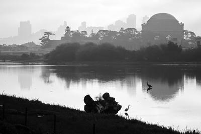 
            2026
            • Crissy Field
            • Palace of Fine Arts
            • Fujifilm X-T5