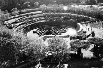 
            2024
            • The Getty
            • Gardens
            • Olympus Pen S