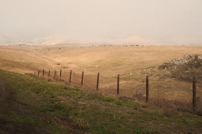 
            2024
            • San Simeon
            • Hearst Castle Field
            • Fujifilm X-T5