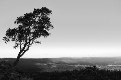 
            2024
            • Hawaiʻi Volcanoes National Park
            • Halemaʻumaʻu
            • Fujifilm X-T5