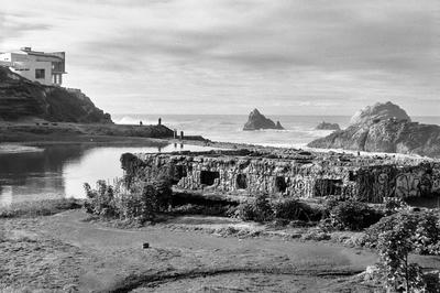 
            2026
            • Lands End
            • Cliff House
            • Rolleiflex 3.5 MX-EVS • Kentmere 200