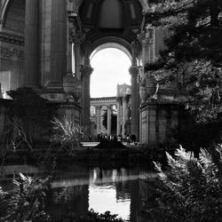 
            Wood Chips
            • Palace of Fine Arts
            • Rolleiflex 3.5 MX-EVS • Kentmere 400