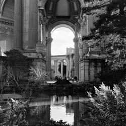 
            2026
            • Palace of Fine Arts
            • Wood Chips
            • Rolleiflex 3.5 MX-EVS • Kentmere 400