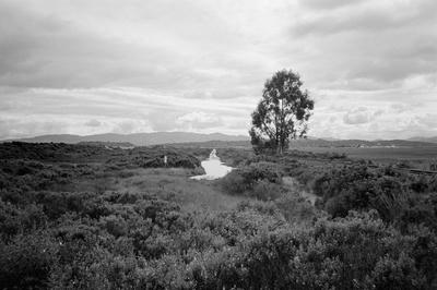 
            2026
            • San Pablo Bay
            • Eliot Trail
            • Olympus XA • Ilford HP5+