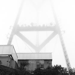 
            2026
            • Mt. Sutro
            • Sutro Tower
            • Yashica Mat-124g • Kentmere 400