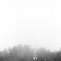
            2026
            • Mt. Sutro
            • Sutro Tower
            • Yashica Mat-124g • Kentmere 400