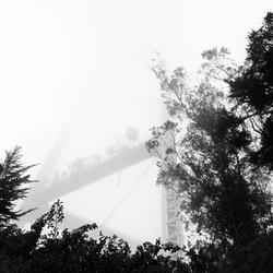 
            2026
            • Mt. Sutro
            • Sutro Tower
            • Yashica Mat-124g • Kentmere 400