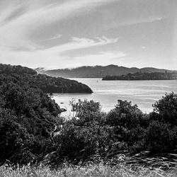 
            Tiburon
            • Angel Island
            • Rolleiflex 3.5 MX-EVS • Ilford HP5+